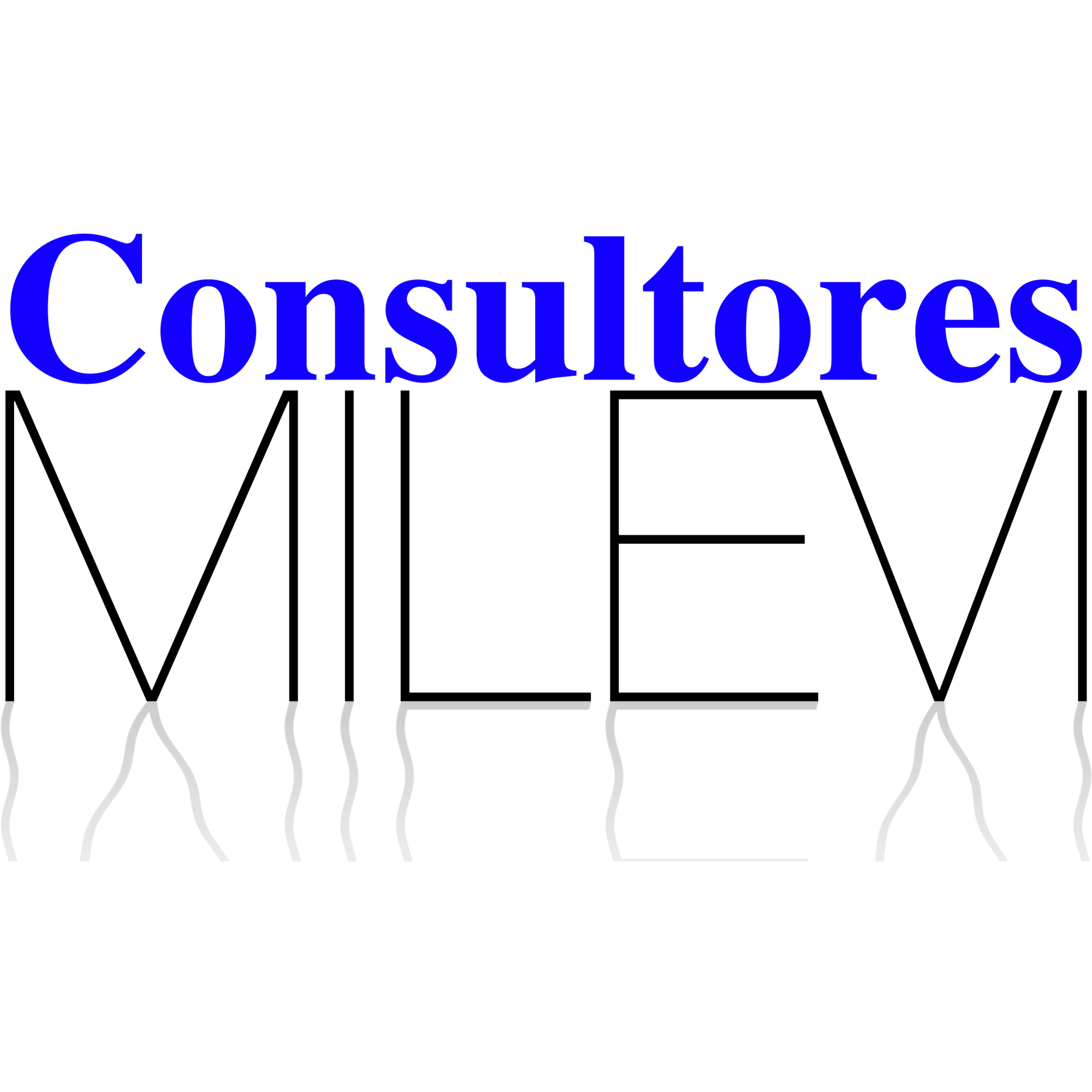 Consultores MILEVI