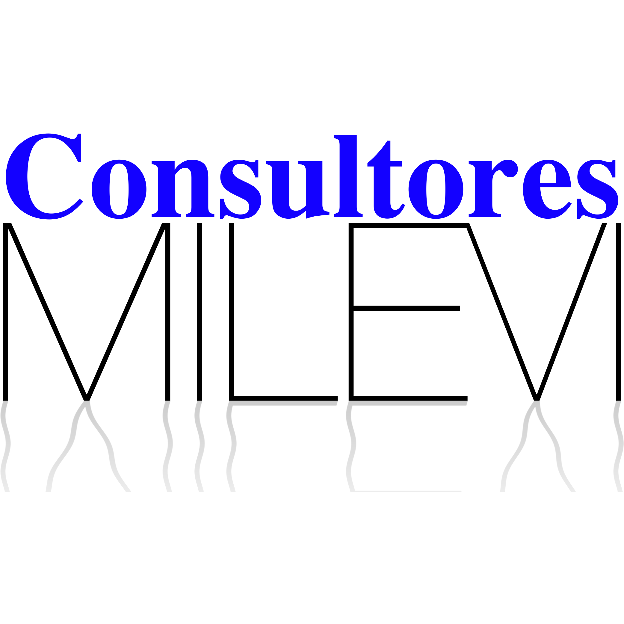 Consultores MILEVI